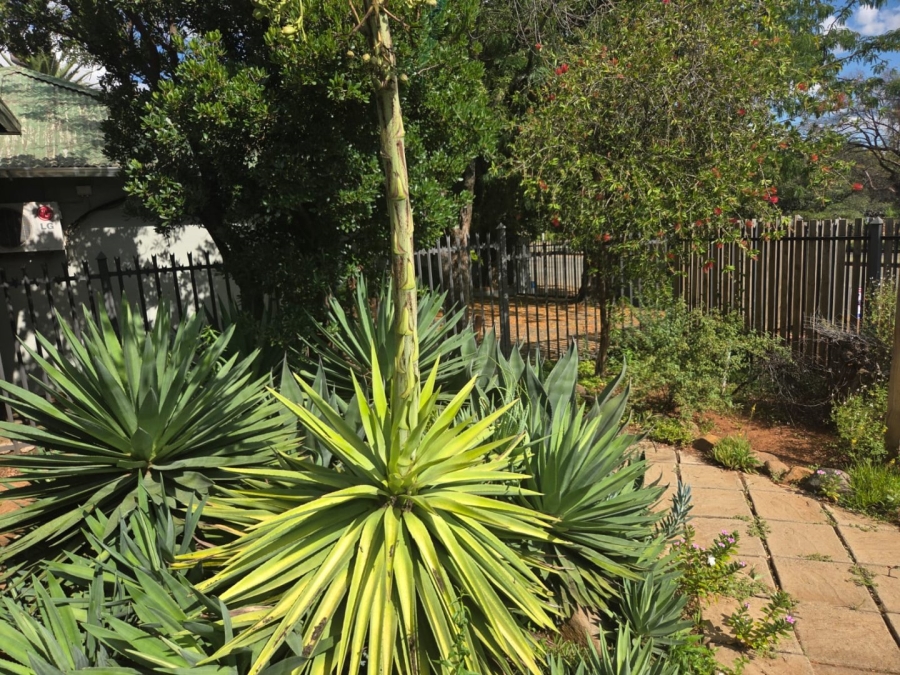 5 Bedroom Property for Sale in Westdene Free State